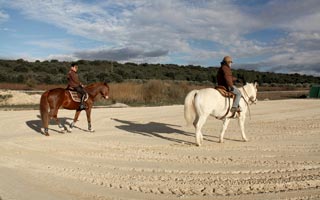 Discoveries in Provence and Camargue. Bed and Art, guest-house and bed-and-breakfast to Calvisson - South France 13